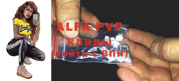 дживик Козельск
