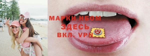 стаф Кодинск