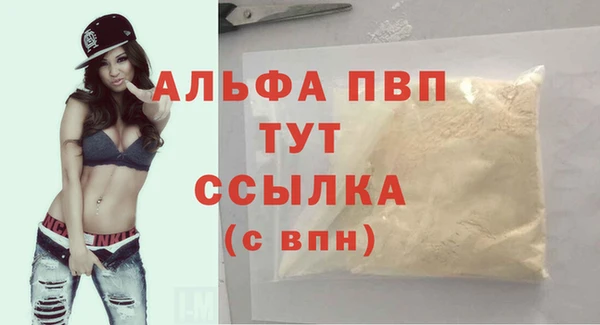 стаф Кодинск