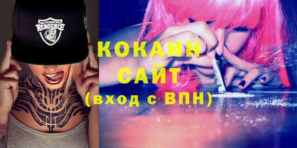 стаф Кодинск