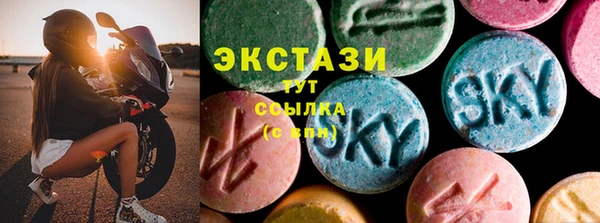 стаф Кодинск