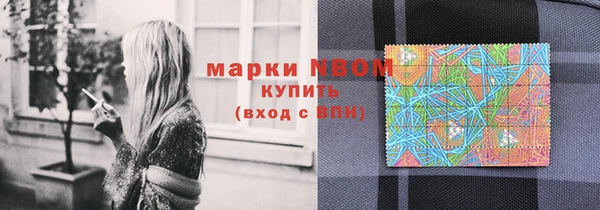 дживик Козельск