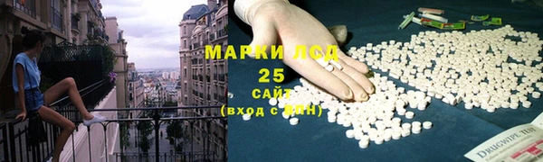 стаф Кодинск