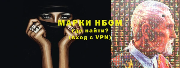 стаф Кодинск