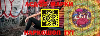 скорость Моздок