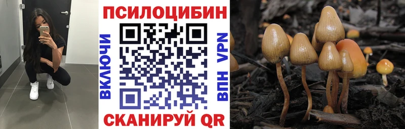Галлюциногенные грибы Psilocybe  Усть-Илимск 