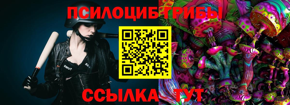 Усть-Илимск  купить  сайты  Вход с VPN  Галлюциногенные грибы Magic Shrooms 