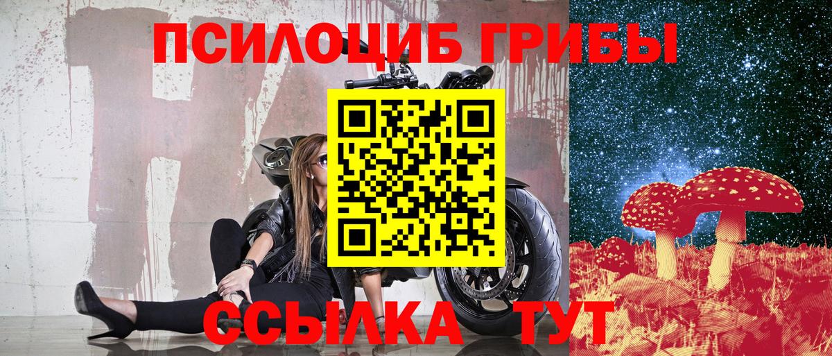 Галлюциногенные грибы Psilocybine cubensis Усть-Илимск